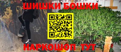 крисы Кулебаки