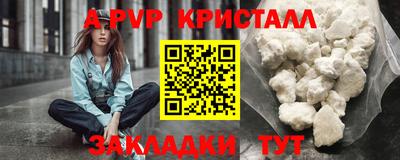 крисы Кулебаки
