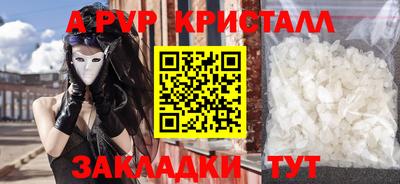 крисы Кулебаки