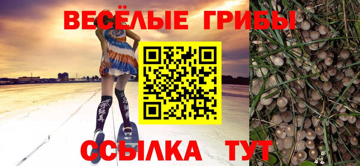 Галлюциногенные грибы мухоморы  Вход с VPN  Галлюциногенные грибы Psilocybine cubensis  Гусев 