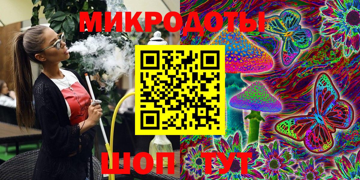Псилоцибиновые грибы Psilocybe Гусев